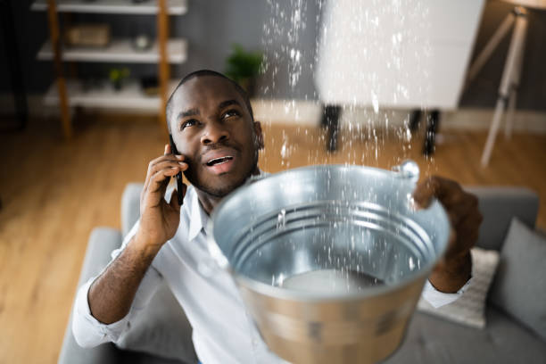 Best Water damage restoration services  in Melbourne Beach, FL