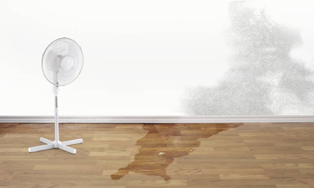 Best Residential water damage restoration  in Melbourne Beach, FL